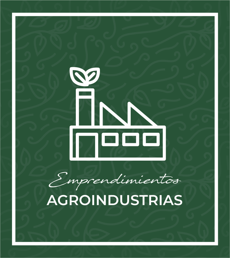 AircoolMultiservicios S.R.L.