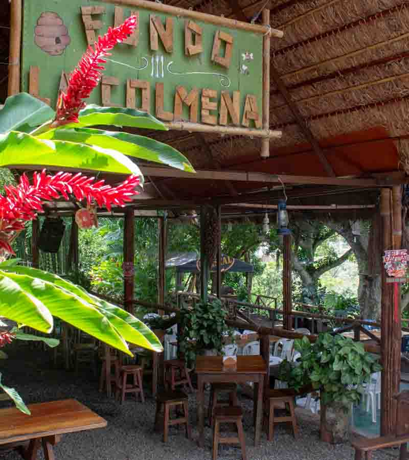 La Colmena
