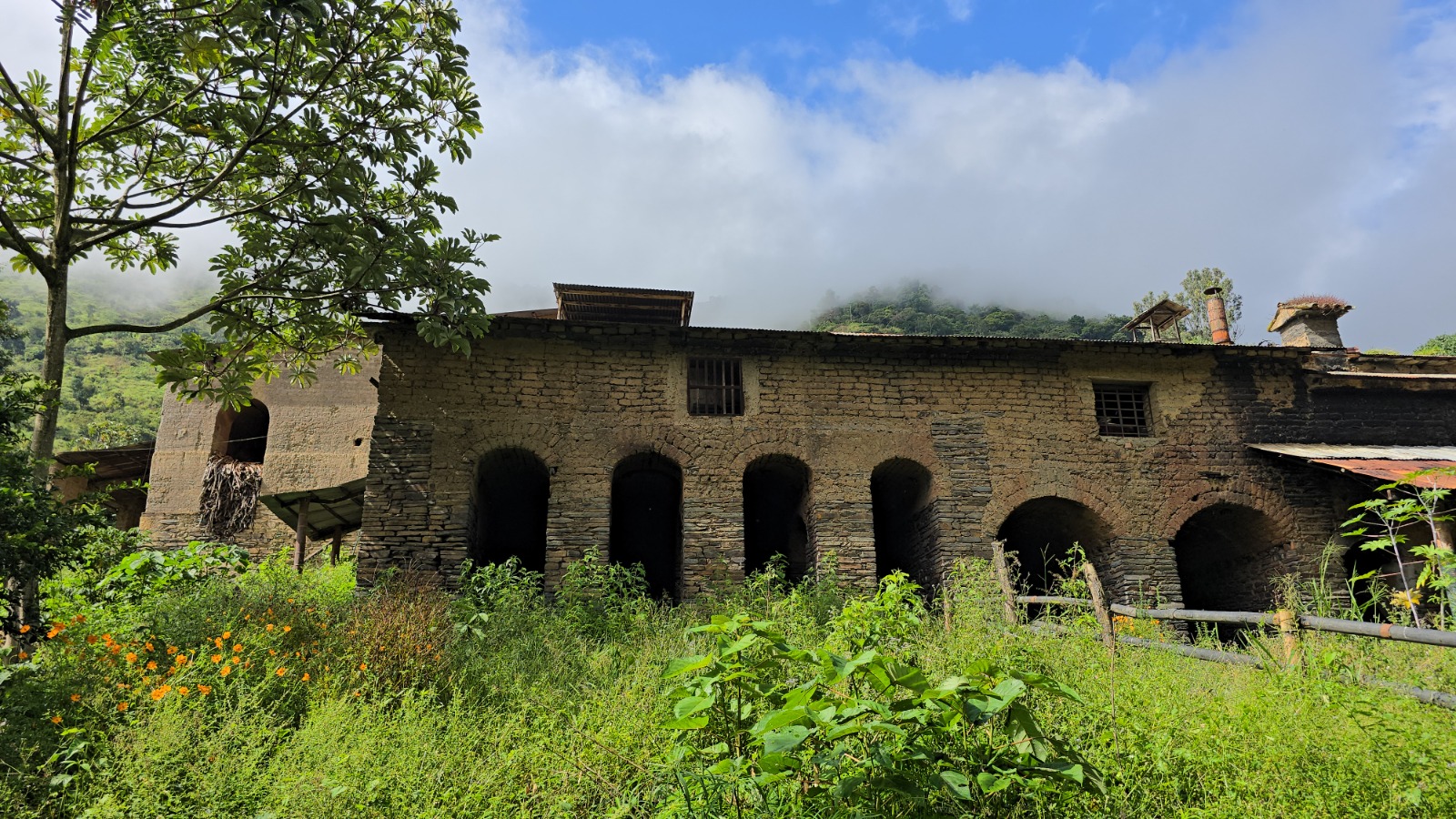Potrero